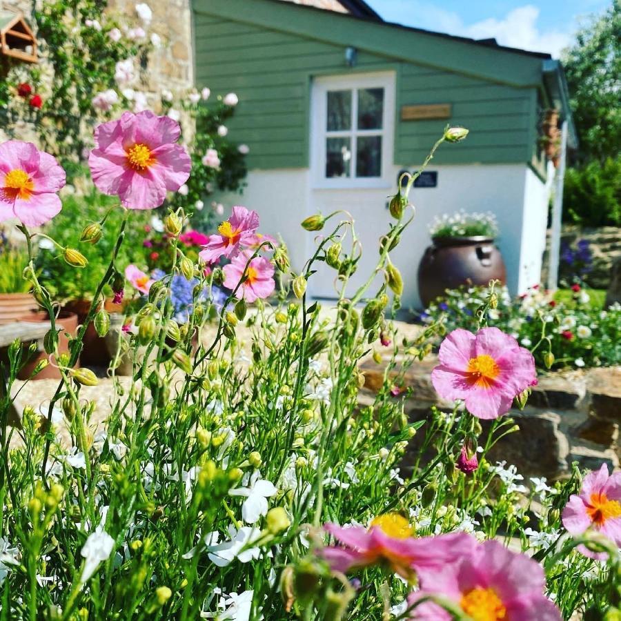 Penwyth House Bed & Breakfast Newquay  Bagian luar foto